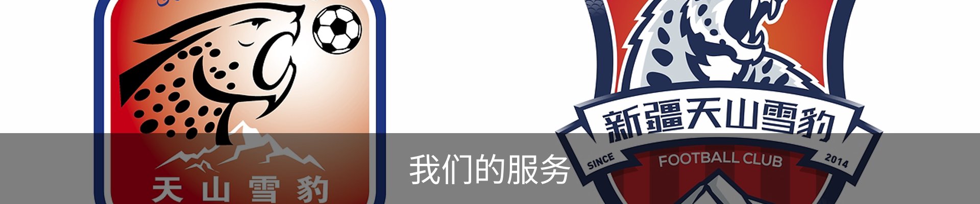 我们的服务
